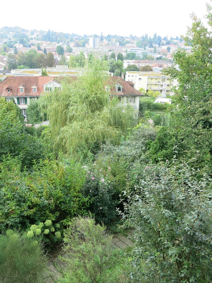 View of the countryside Houses for Rent in Binningen, Basel