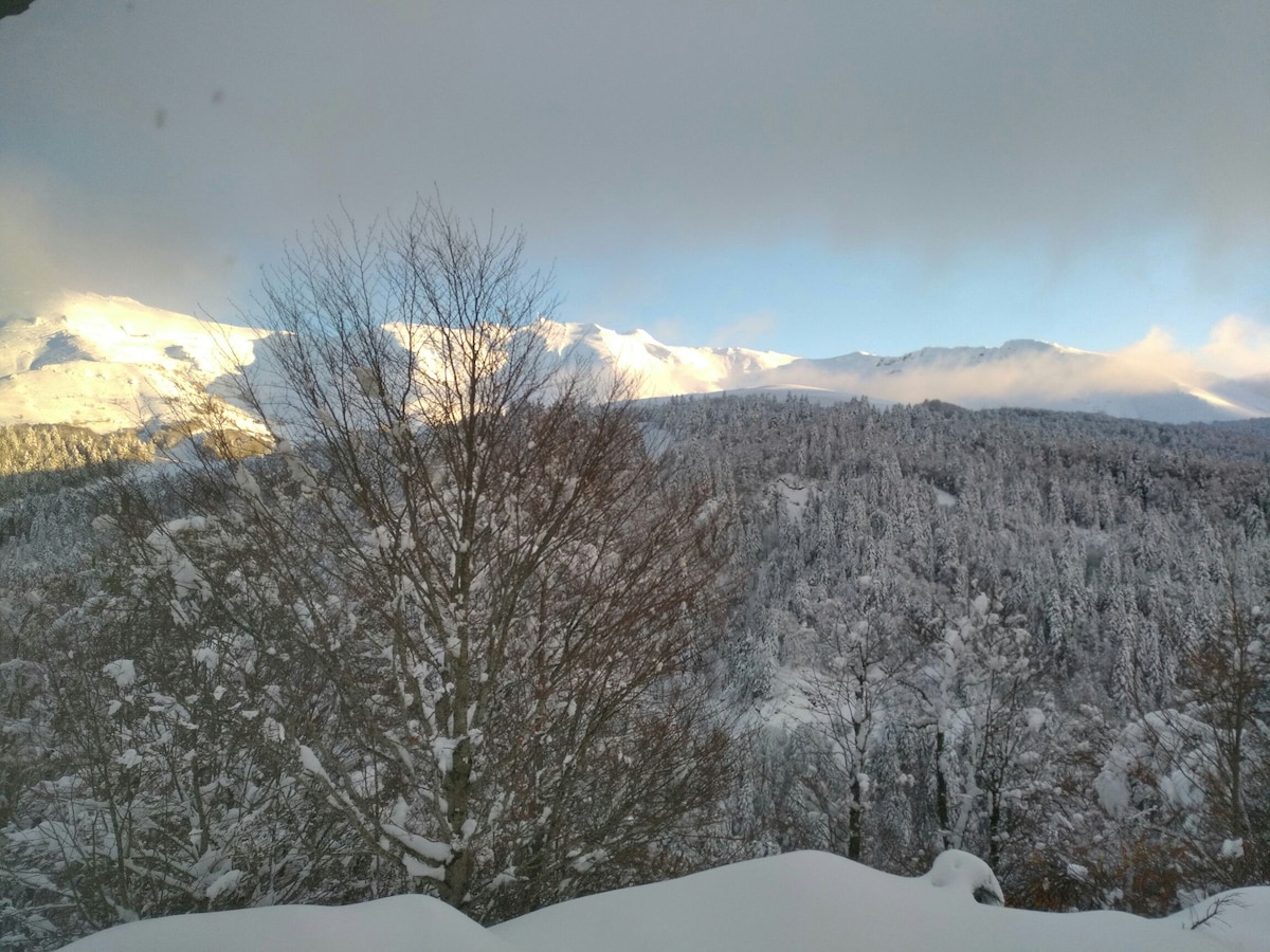 A scenic view captures a snowy landscape, featuring a forest of frosted trees and distant mountains. Soft clouds float above, and a serene atmosphere emanates from the tranquil winter scene. Light reflects off the snow, creating a bright and calm ambiance.