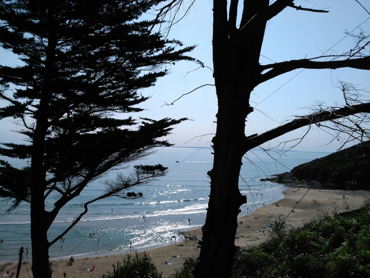 A view of a sandy beach is framed by trees, with gentle waves lapping at the shore. Sunlight reflects off the water, creating a shimmering effect. People can be seen enjoying the beach, surrounded by a serene natural landscape.