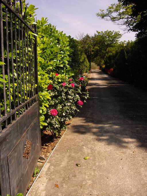 Portillon entrée de la Maison