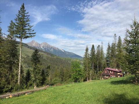 Childhood's Dream Cabin