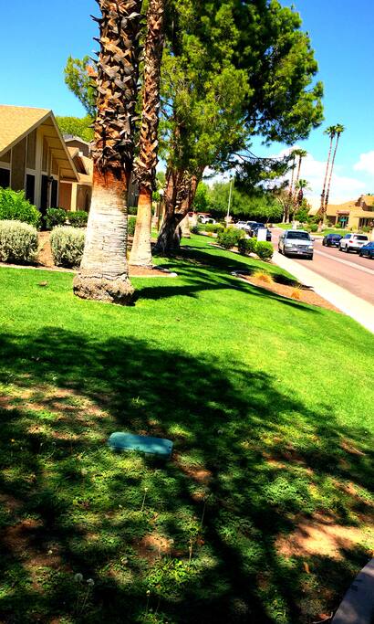 Street View in Front of The Condo.