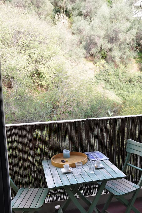 Outdoor dinner time