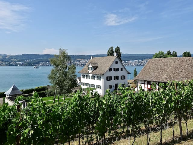 Single-Family Residence Herrliberg, 2014