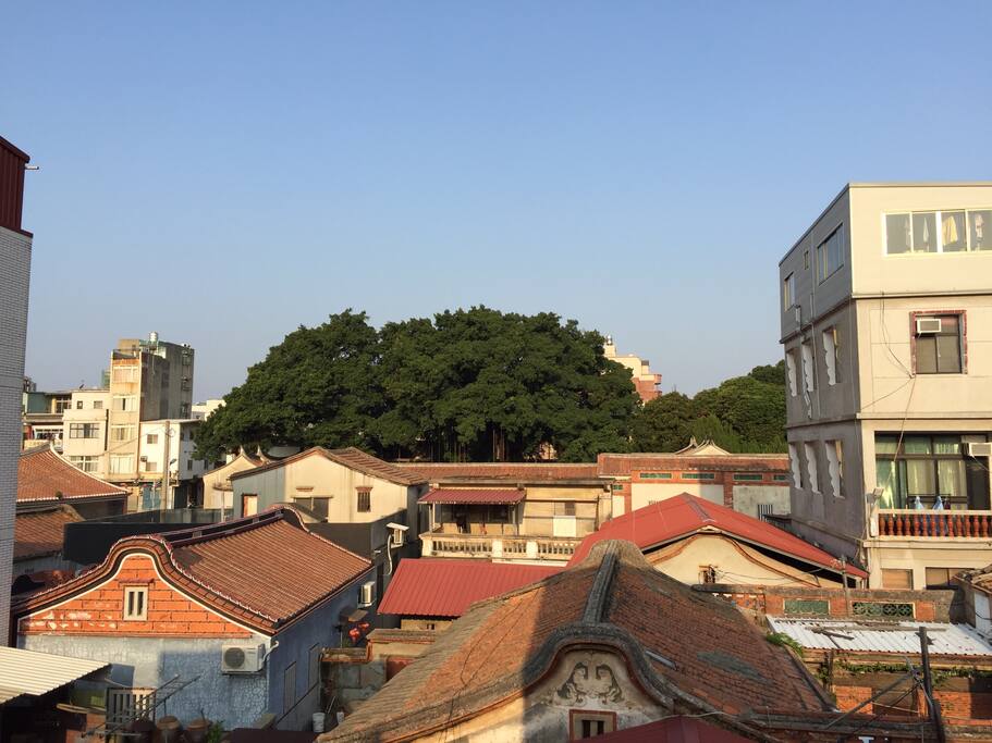 三樓窗景