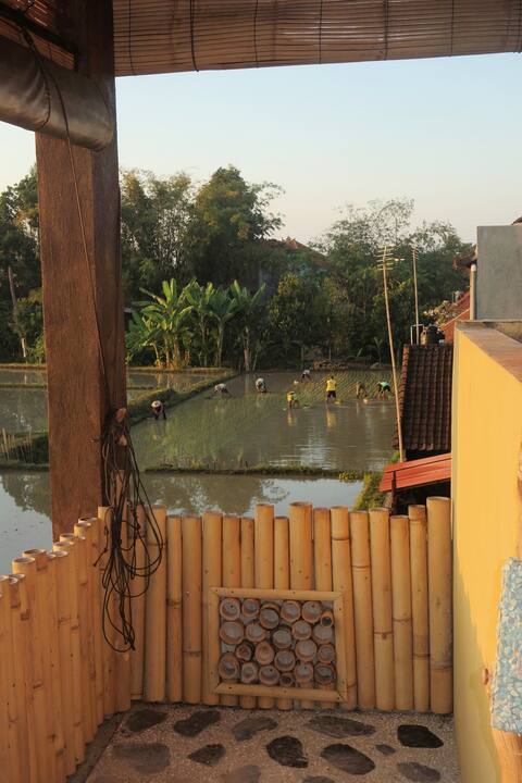 Penthouse apartment Sawah View