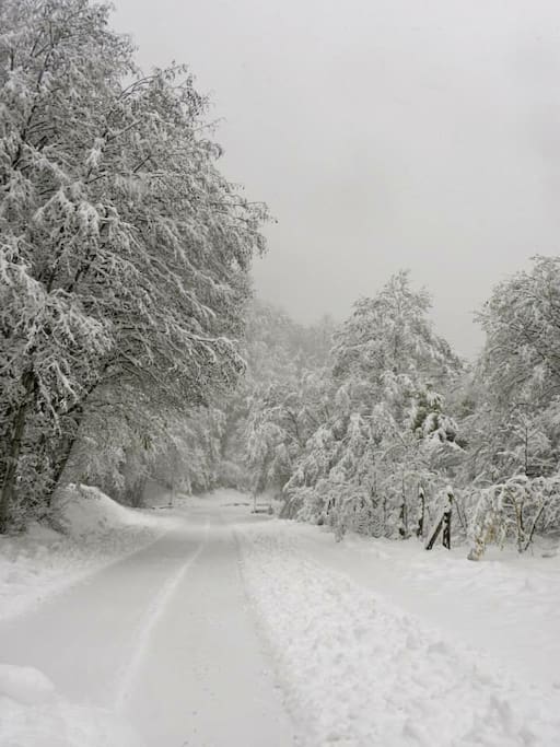 strada che porta alla casa