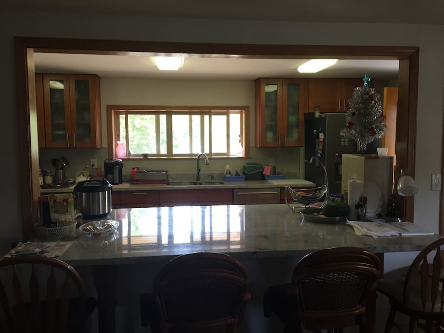 Kitchen and bar area