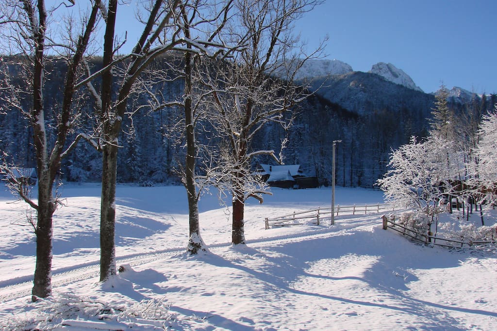 widok zimowy