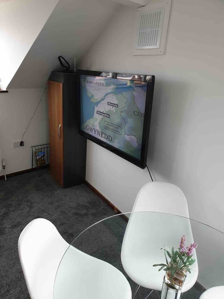 Smart TV s ravnim zaslonom od 110 cm dostupan s Netflixom