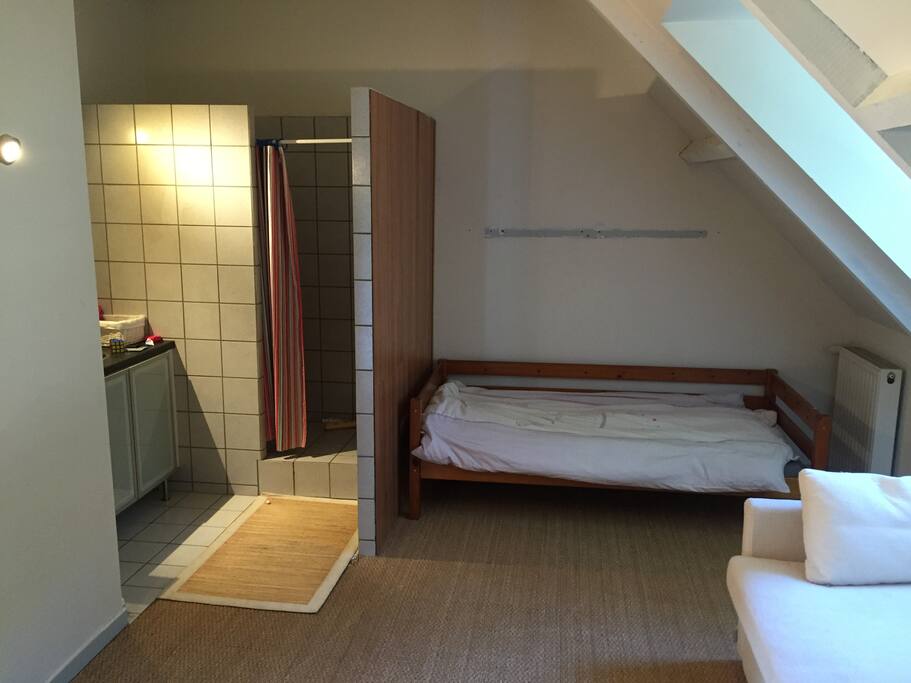 une chambre équipée d'une salle de douche