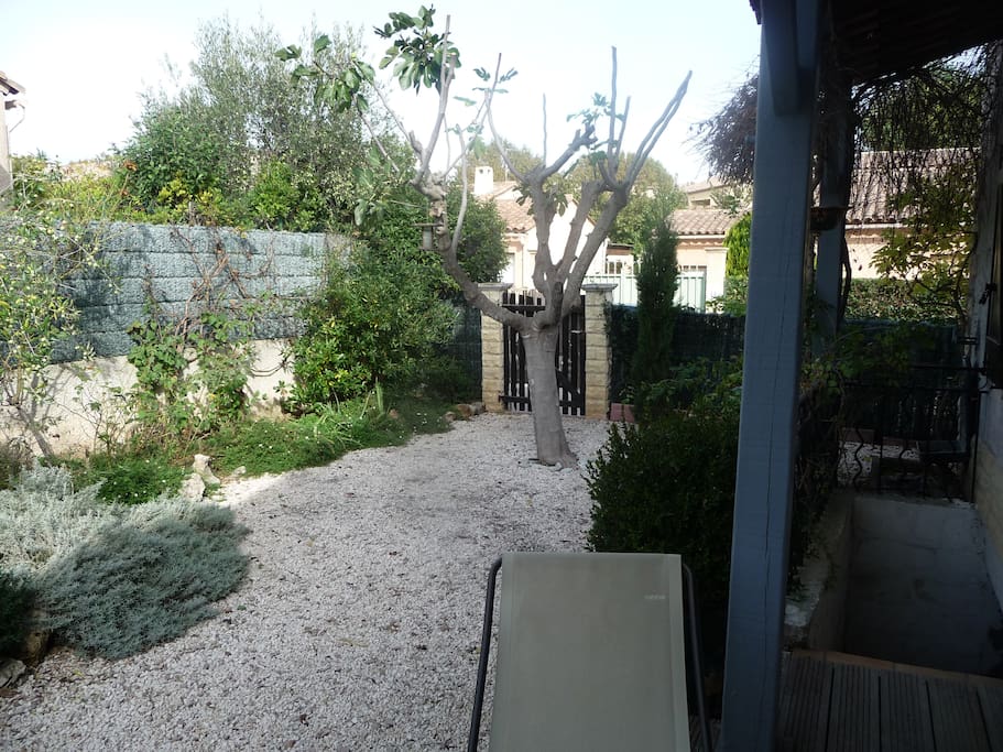 Notre jardin avec chaises longues, parasol, table, brumisateur et des roses au printemps, un figuier et le chat.