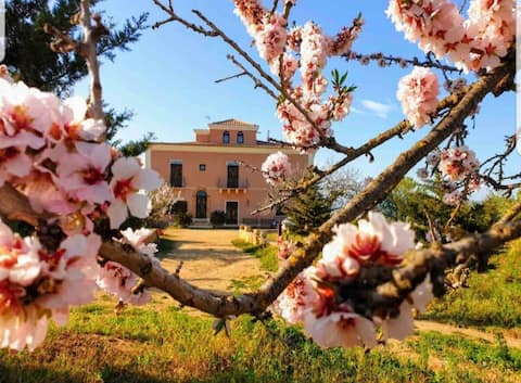 Historic Villa D’Aringione - Near Piazza Amerina