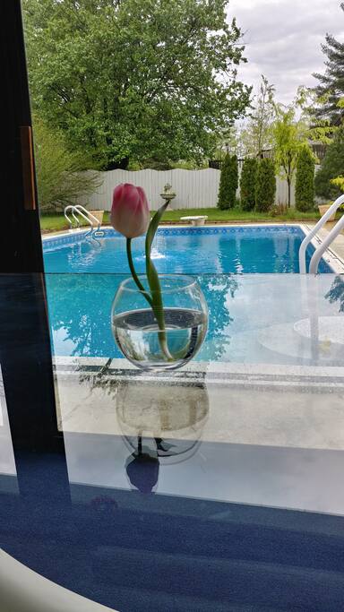 A dip in the pool?