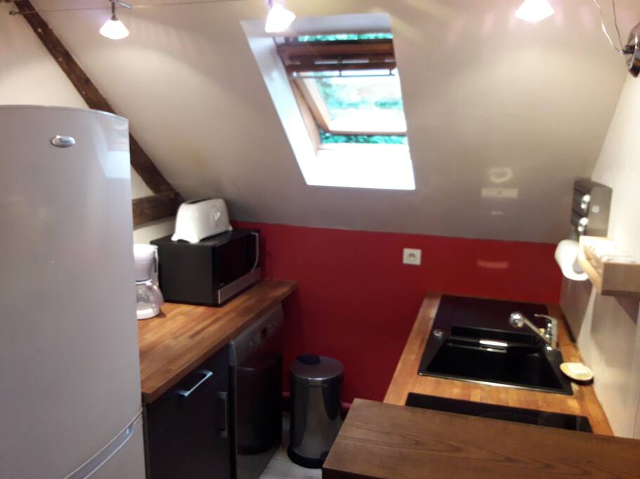 La cuisine intégré avec frigo, congélateur, lave-vaisselle, plaque induction, four/micro-ondes.