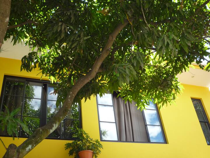 el palo de mango y su agradable frescura en el patio central.