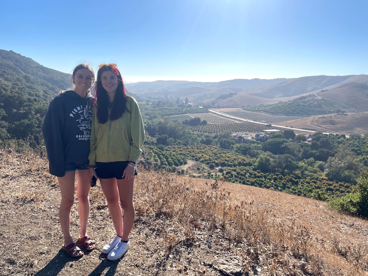 Two individuals stand on a hillside, overlooking a sprawling avocado grove. The landscape features gentle rolling hills under a clear sky, with the valley below showcasing neat rows of trees. Sunlight casts a warm glow over the scene, highlighting the natural beauty of the rural setting.