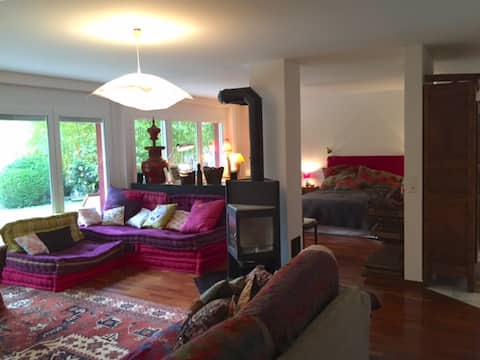 Large Studio with views of the woods of Versoix