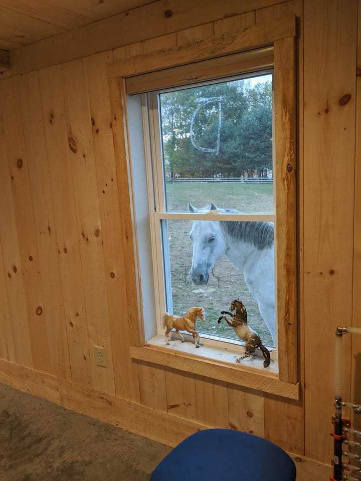 นี่เป็นอีกหน้าต่างที่มีไททาเนียมมองเราเขาเป็นเพื่อนสนิทกับเลดี้

ทิศทางนี้มองไปทางทิศตะวันตกเฉียงเหนือและคุณจะได้เห็นวิวด้านหลังของแพดด็อคและพระอาทิตย์ตกดินด้านบนอย่างเต็มที่

หน้าต่างทุกบานมีมู่ลี่โทรศัพท์มือถือแบบดึงลงใหม่เพื่อความเป็นส่วนตัวและการตกแต่ง