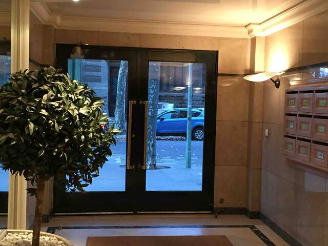 Lyon centre Parc tête d’or gallery image 3