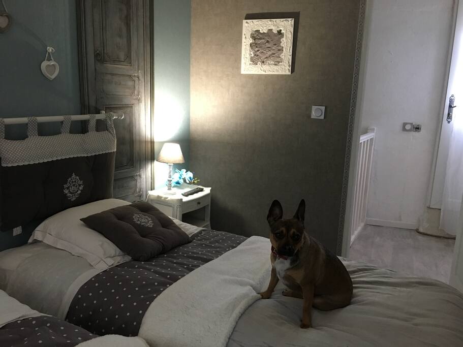 Chambre 2 lits