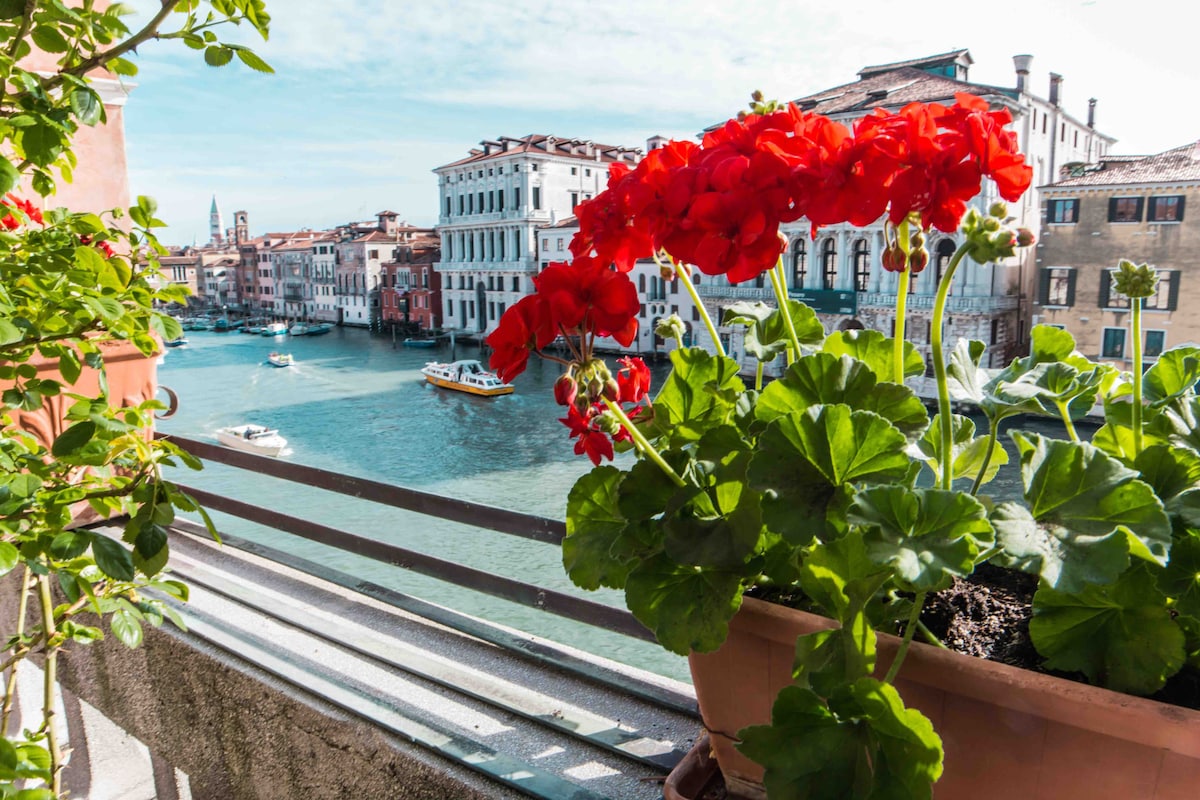 Best Airbnbs In Venice Italy