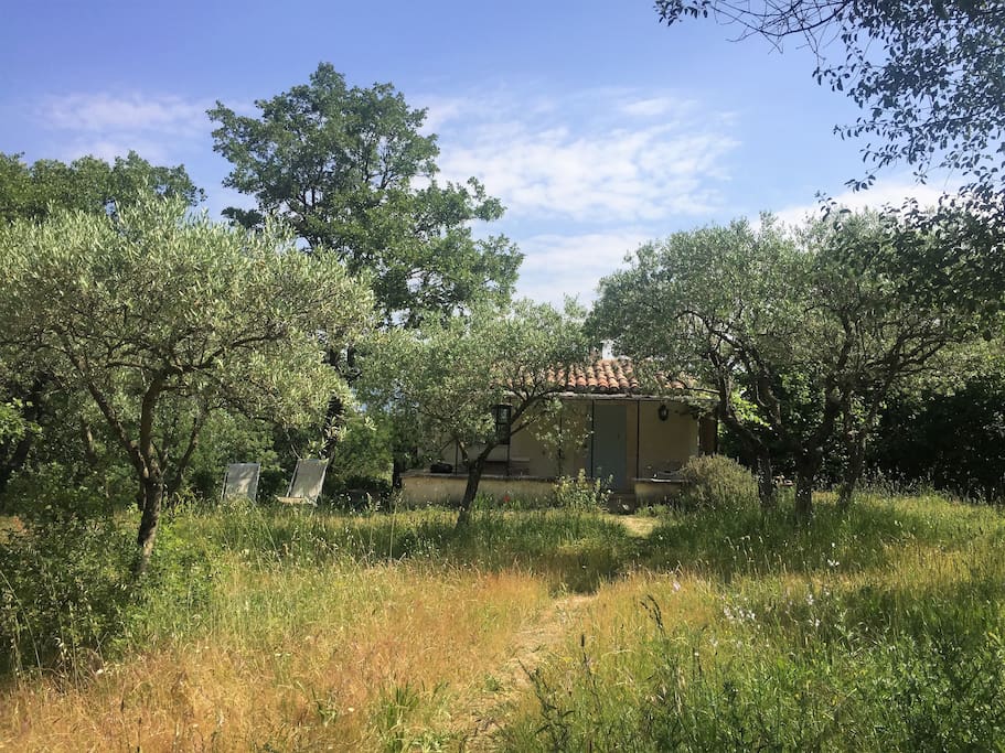 Le Cabanon set in the garden