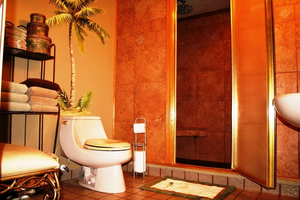 Downstairs Bathroom/Steam Room