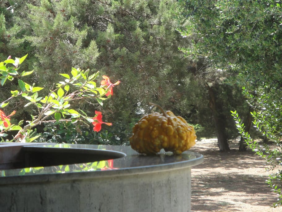 giardino