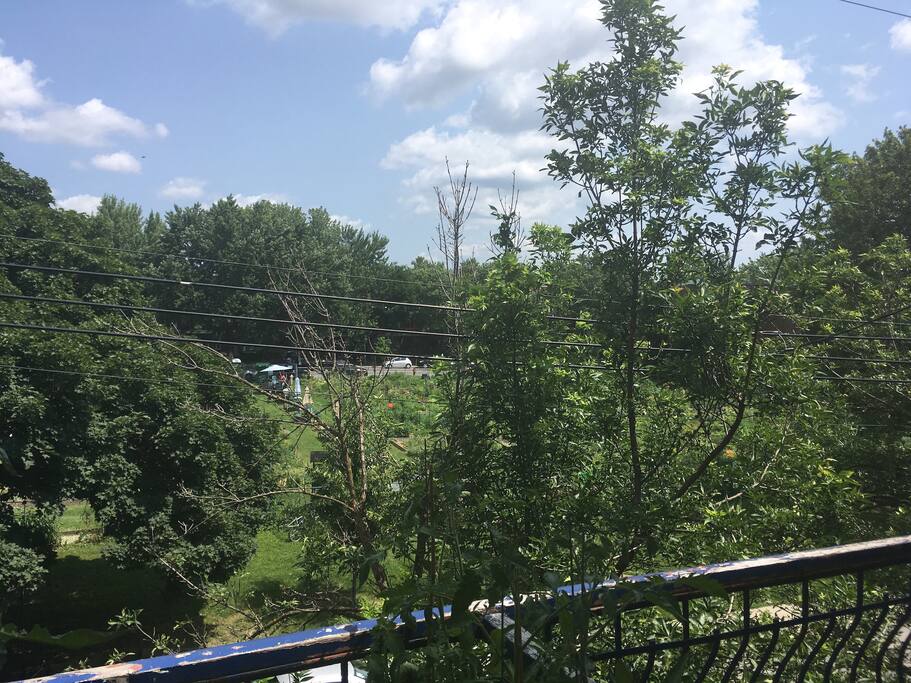 Vue e la chambre, sur le potager urbain