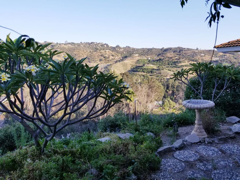 Back patio view