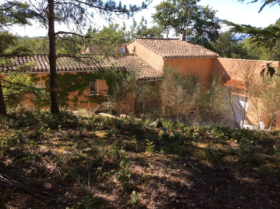arrivée sur la propriété au milieu du bois de chênes