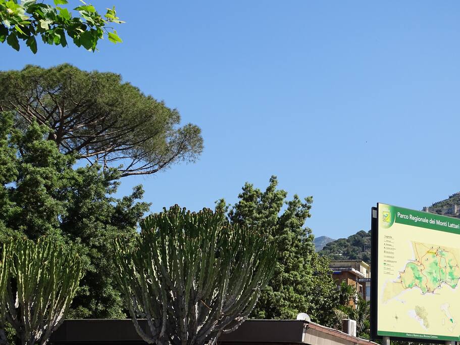 A regional park of lattari mountains
parco regionale dei monti lattari