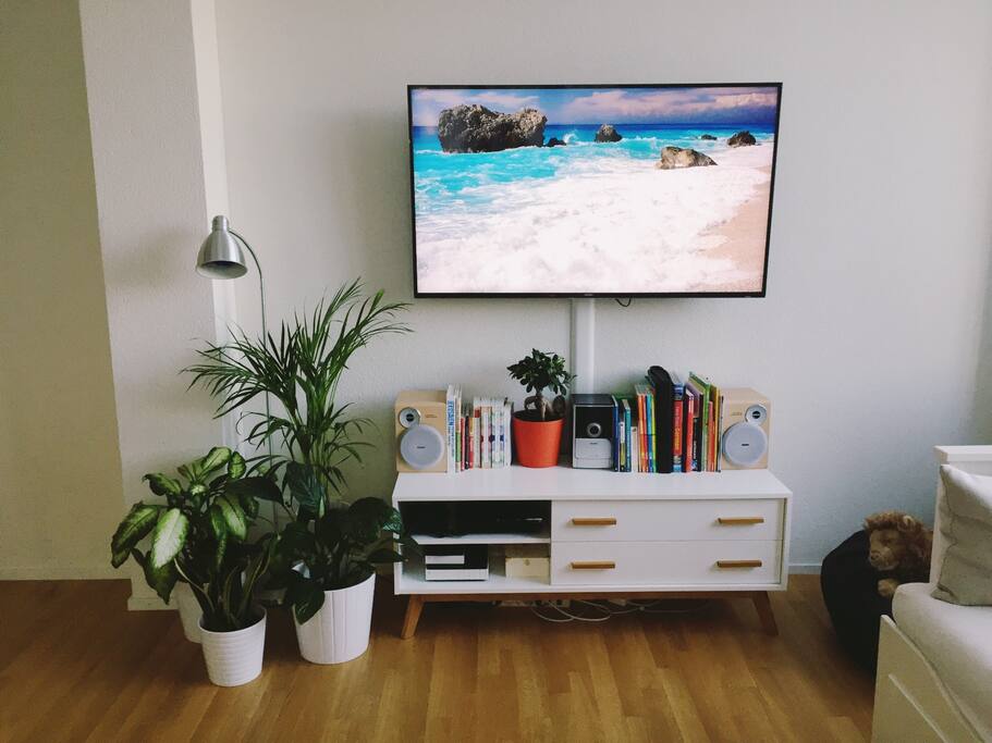 55" TV