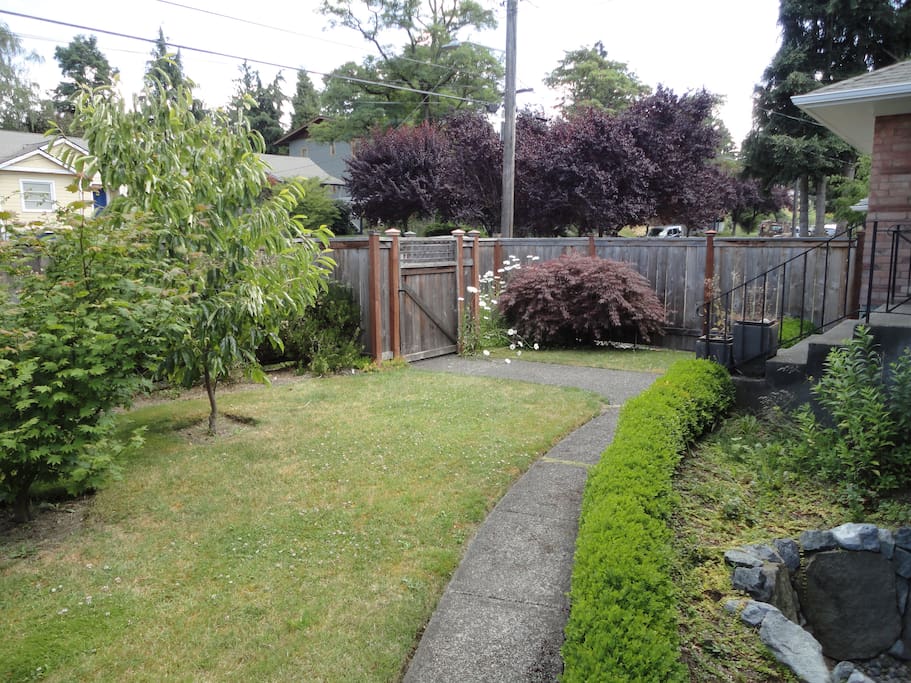 Front yard