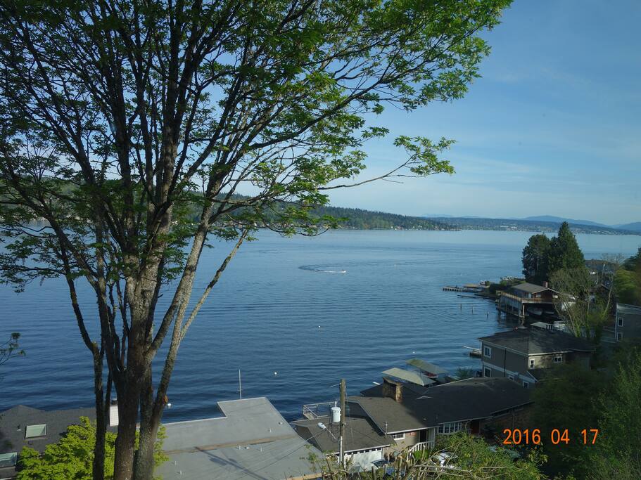 Lake view currently