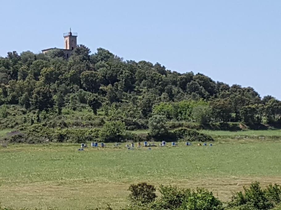 Le rucher et sa chapelle