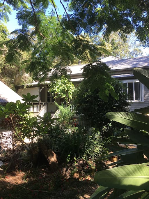 Front entrance to house & front garden - showing front veranda