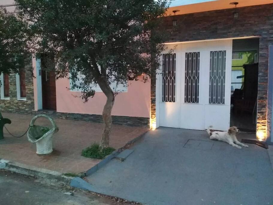 Puerta de entrada hacia los 2 apartamentos del fondo.