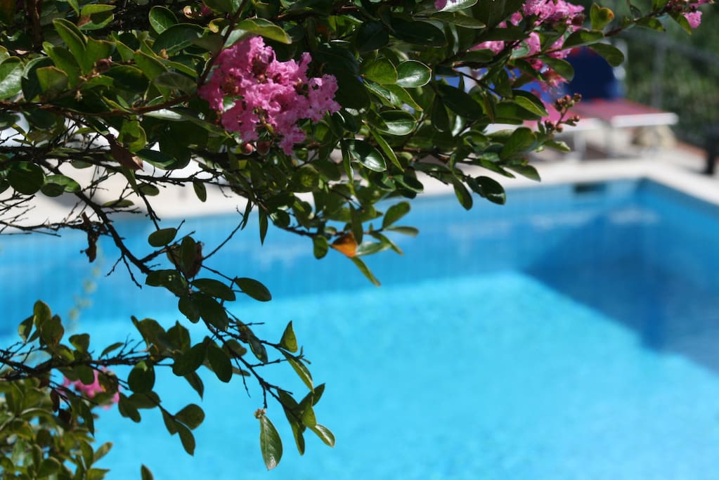 swimmingpool
