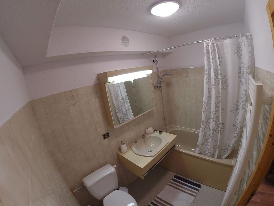 Grande salle de bain avec baignoire et WC.