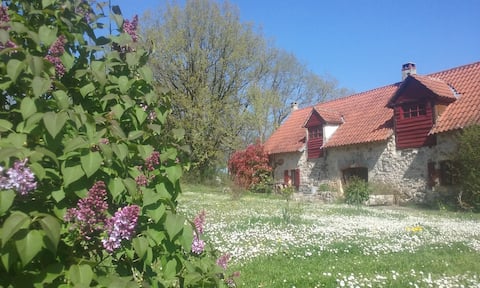 Le Vignoble de la Métairie Rouge