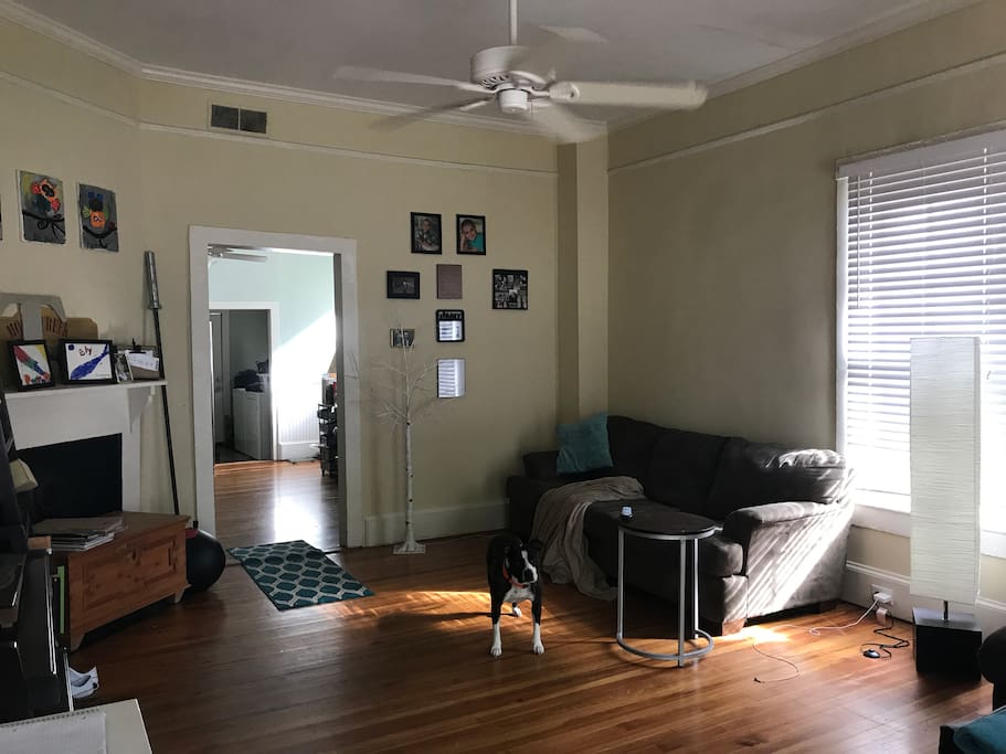 Living room and Thai, my rescue doggie