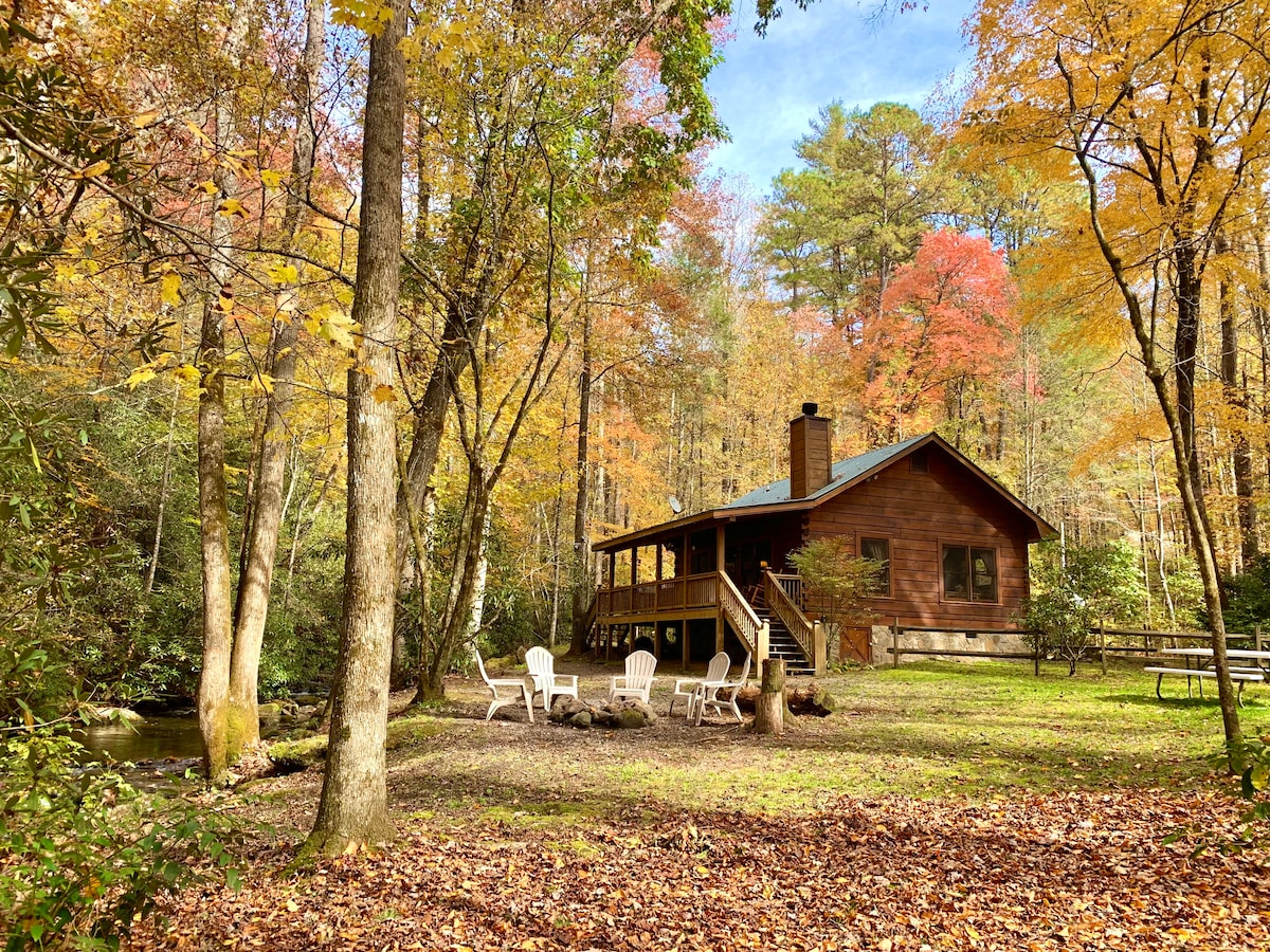 Spared by Helene! Fernhollow & Murphy Fall Colors Cabins for Rent in