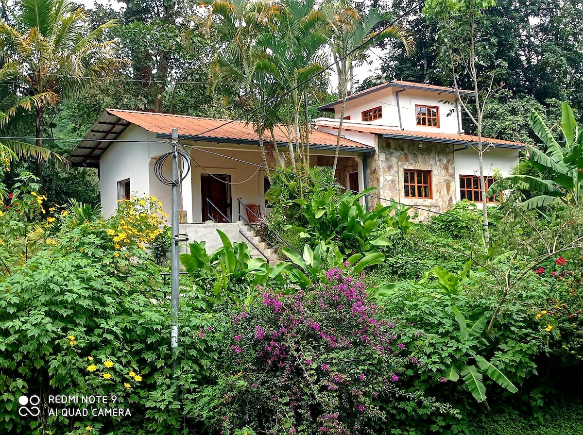 A charming farmhouse is nestled among lush greenery, showcasing a mix of stone and wood in its design. Surrounding tropical plants and vibrant flowers enhance the setting. The home's multiple windows create an inviting aspect, allowing natural light to filter through.