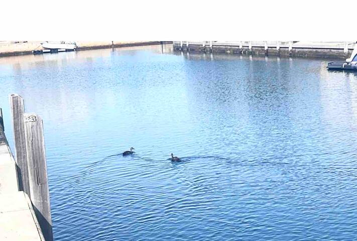 Bluemanna Bliss Canal Stay gallery image 5