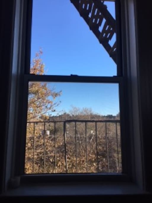Neighborhood view from living room window.