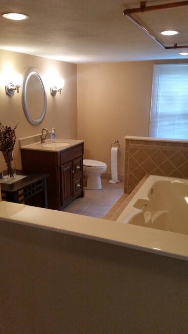 Large full bathroom with lighted, jacuzzi tub!