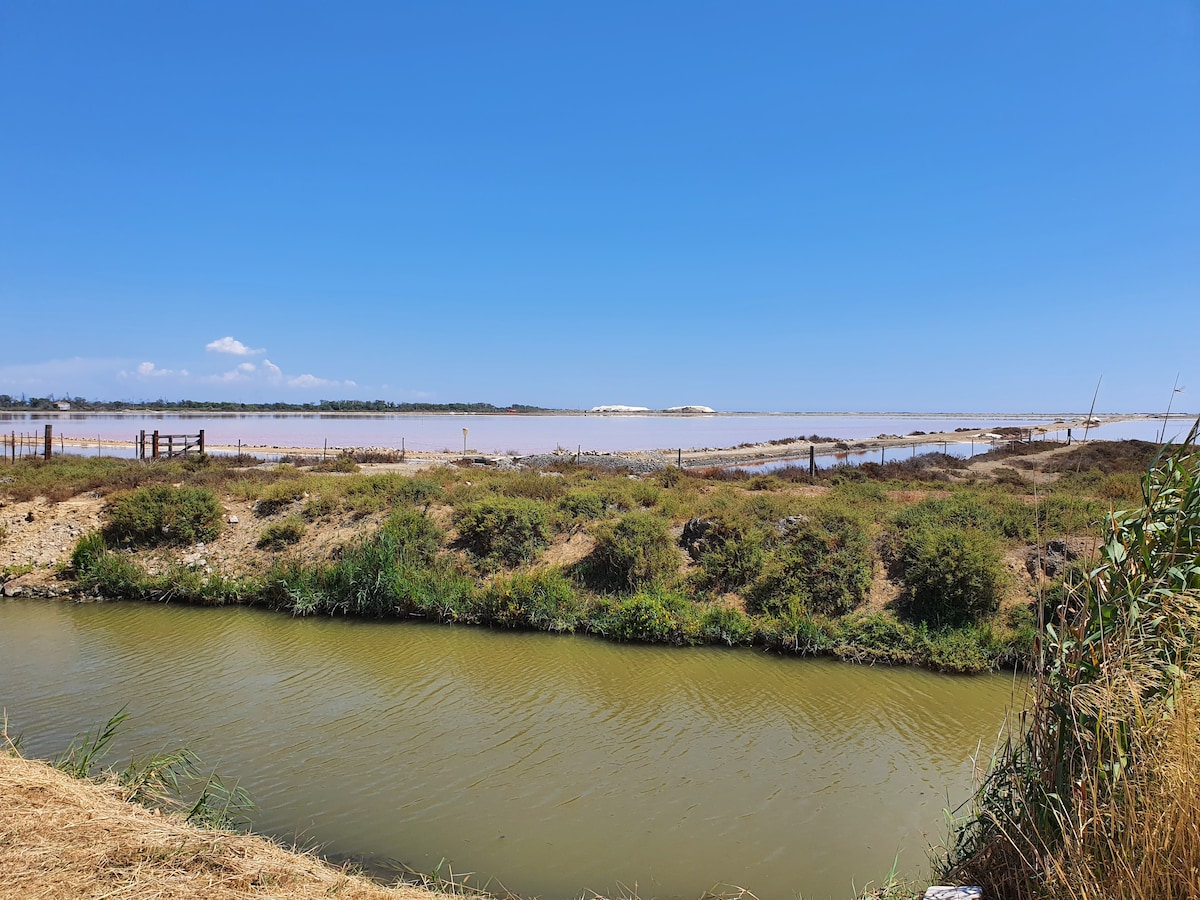 A serene landscape showcases tranquil water bodies reflecting the blue sky. A canal runs alongside lush vegetation, accentuating the natural beauty of the area. The distant horizon is marked by salt flats, further enhancing the picturesque surroundings.