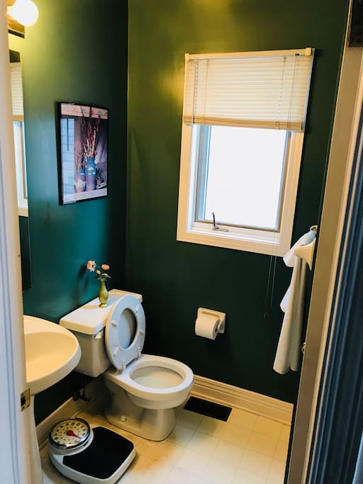 1/2 bath on the main floor as you walk into Pitawanakwats AIR BNB.